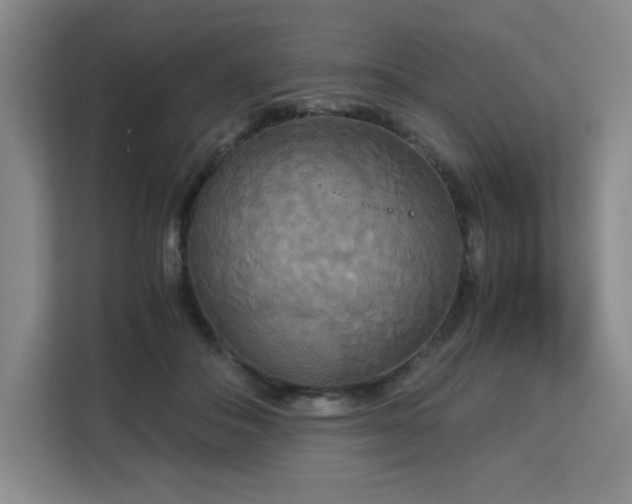 X0000113140506200909110937