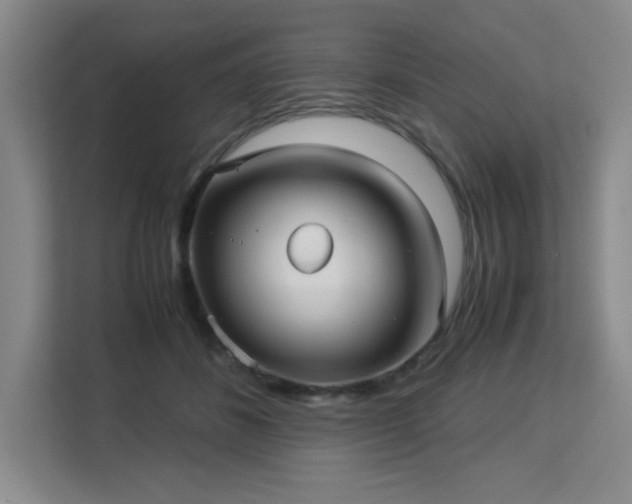 X0000113140508200909110937