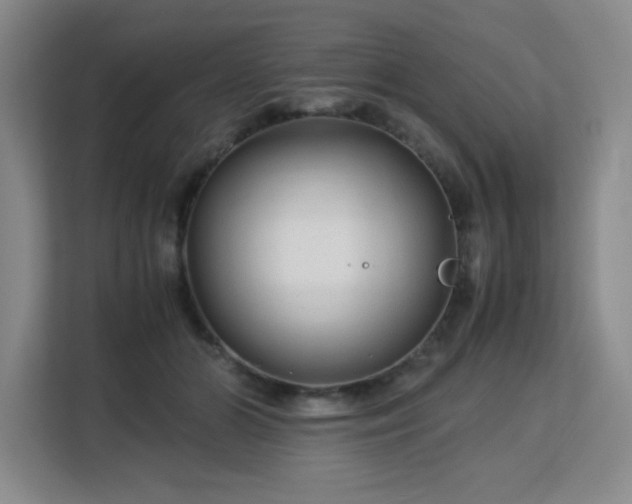 X0000113140510200909110937