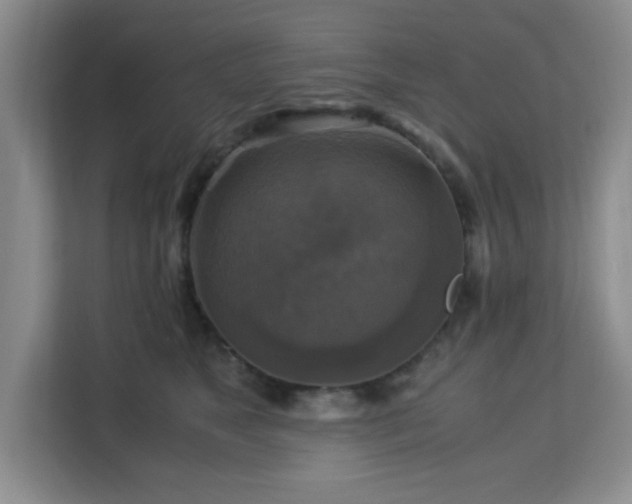 X0000113140517200909110937