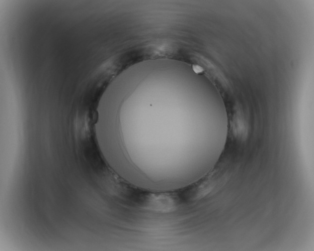 X0000113140520200909110936