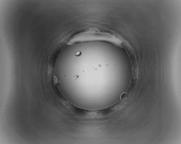 X0000113140521200909110936