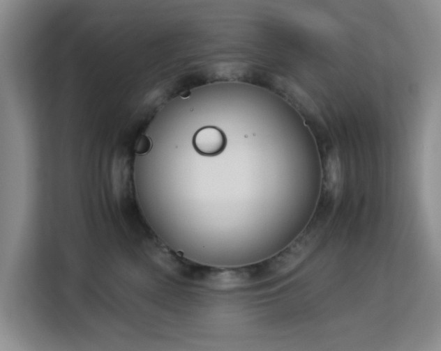 X0000113140522200909110936