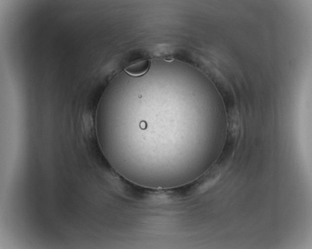 X0000113140523200909110936