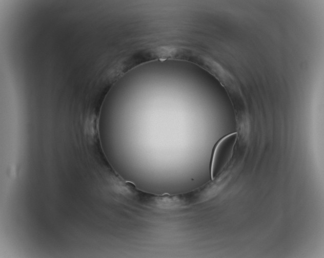 X0000113140525200909110936