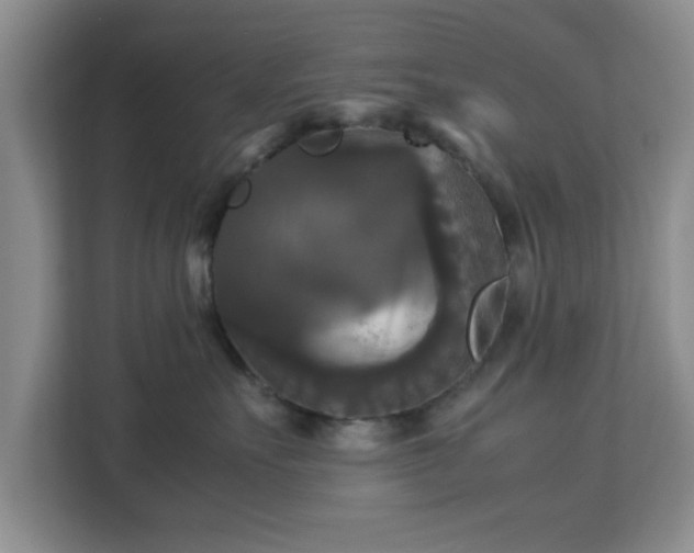 X0000113140527200909110936