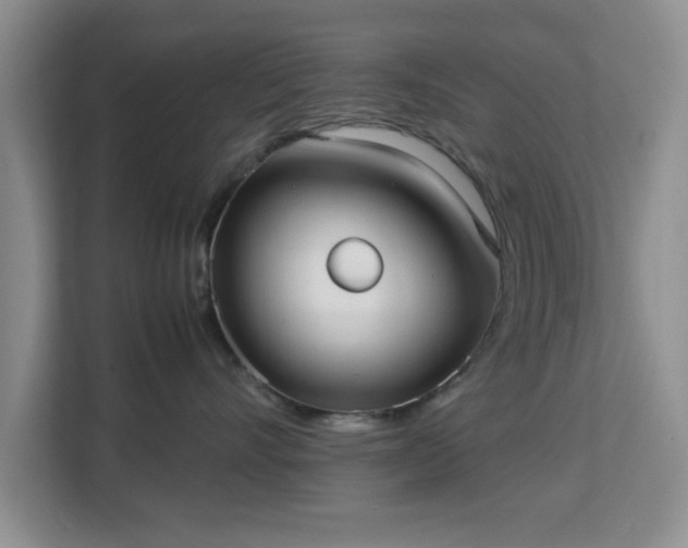 X0000113140528200909110936