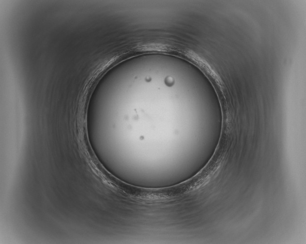 X0000113140529200909110936