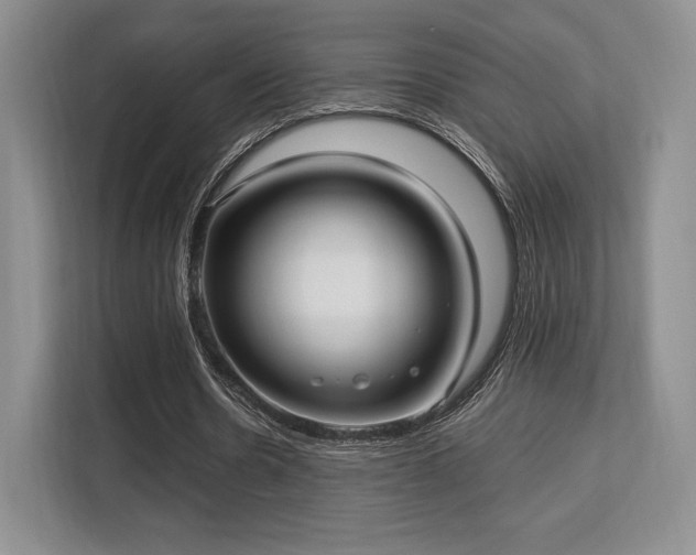 X0000113140530200909110936