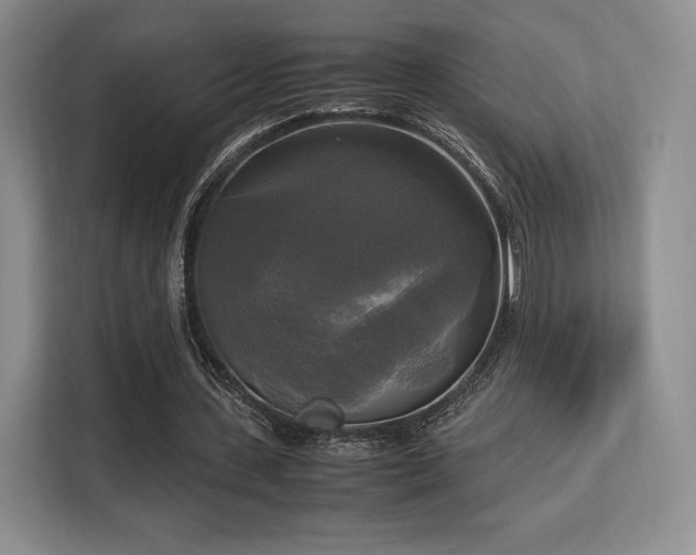 X0000113140531200909110936