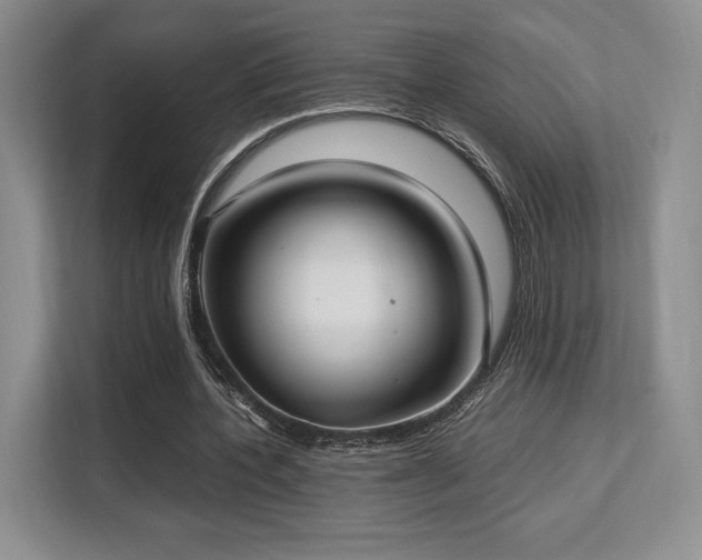 X0000113140532200909110936