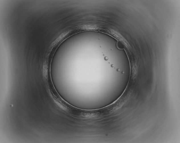 X0000113140533200909110936