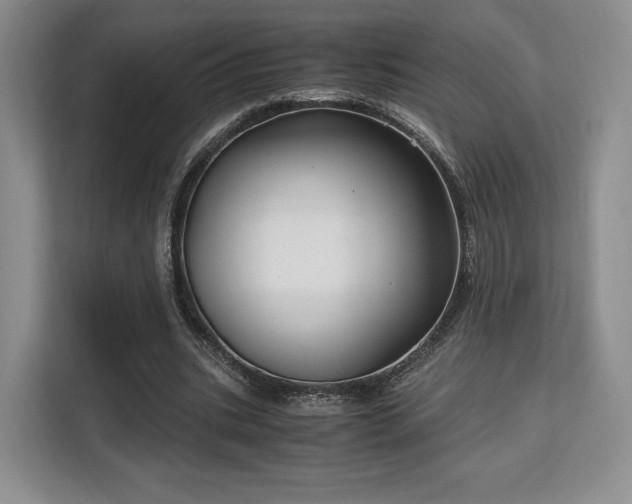 X0000113140535200909110936