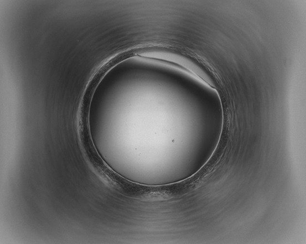 X0000113140536200909110936