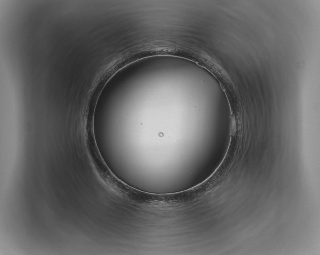 X0000113140538200909110936