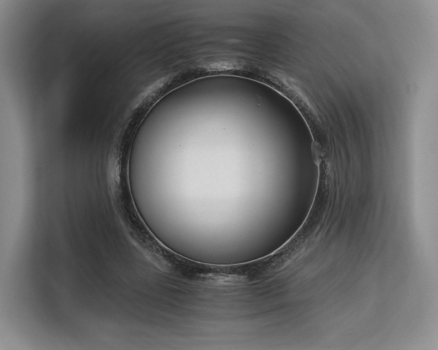 X0000113140539200909110936