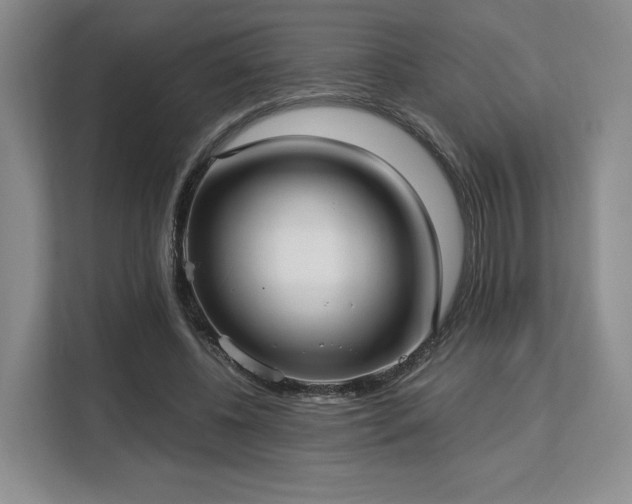 X0000113140540200909110936