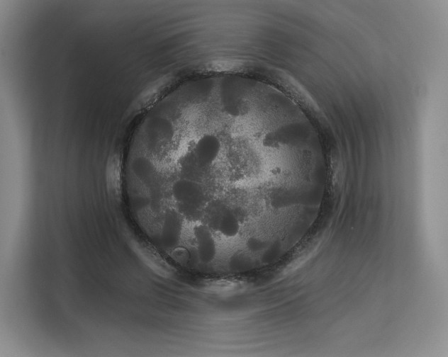 X0000113140542200909110936