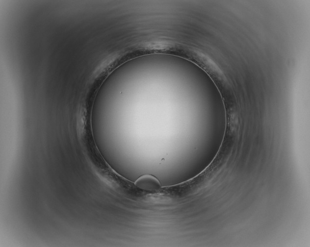 X0000113140544200909110936