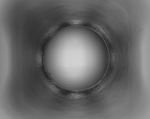 X0000113140545200909110936