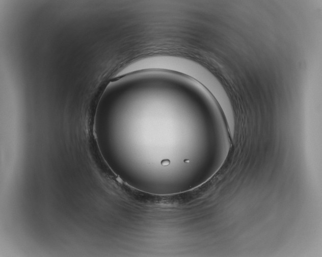 X0000113140546200909110936