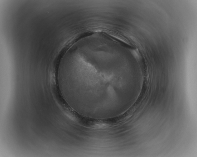 X0000113140547200909110936