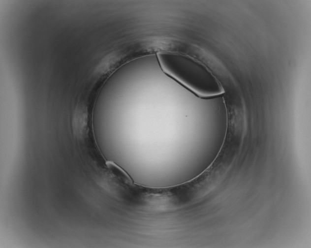 X0000113140548200909110936