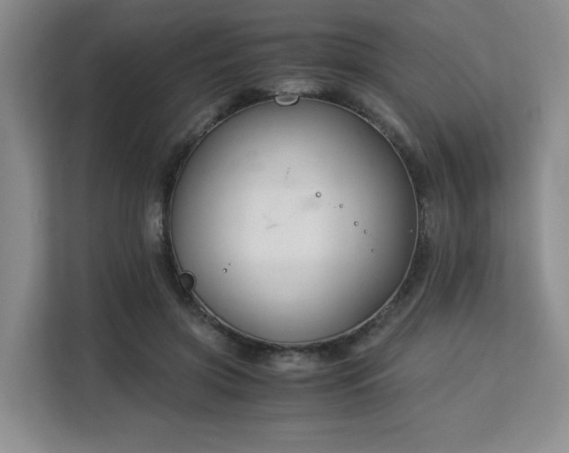 X0000113140549200909110936