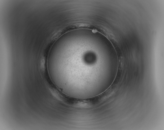 X0000113140550200909110936