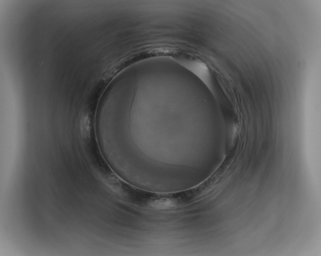 X0000113140551200909110936