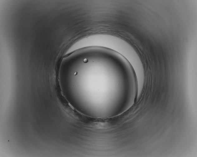 X0000113140552200909110936