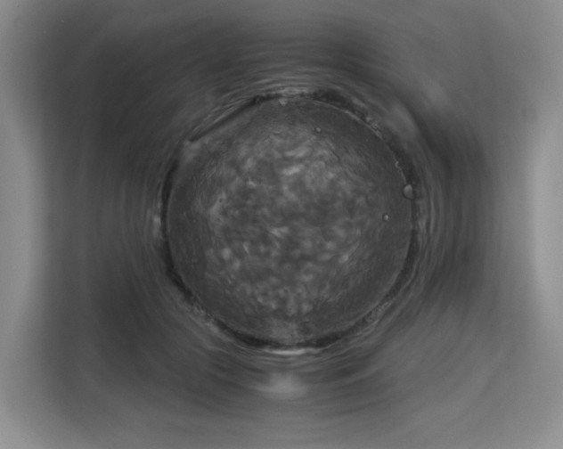 X0000113140553200909110936