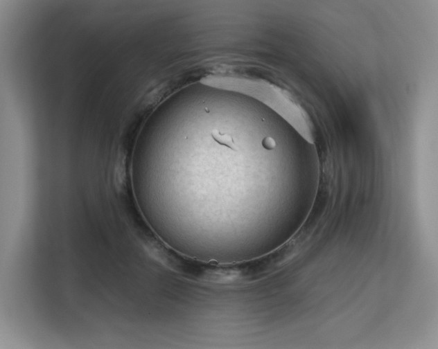 X0000113140554200909110936