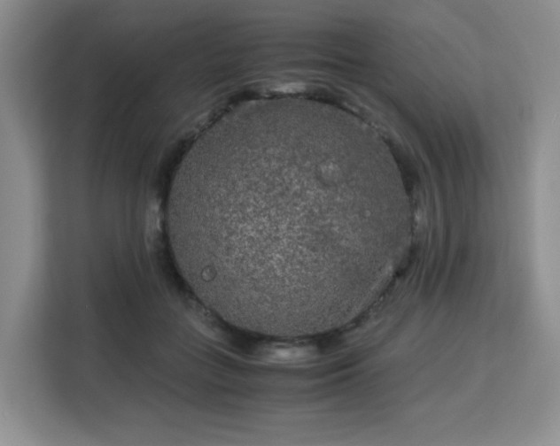 X0000113140555200909110936