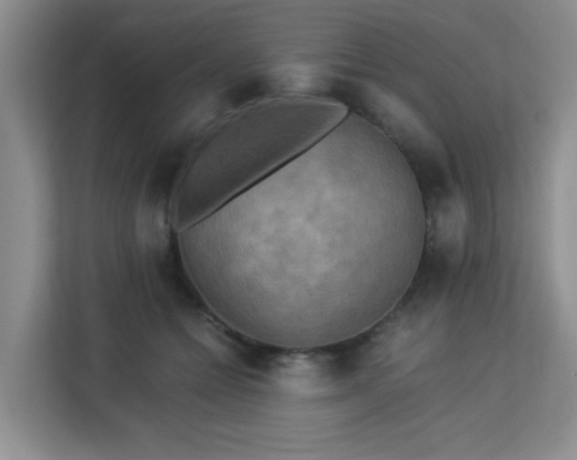 X0000113140558200909110936