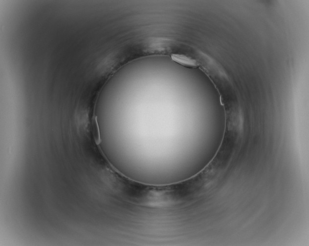 X0000113140560200909110936