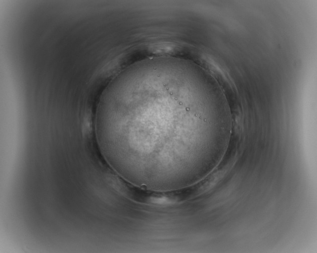 X0000113140561200909110936