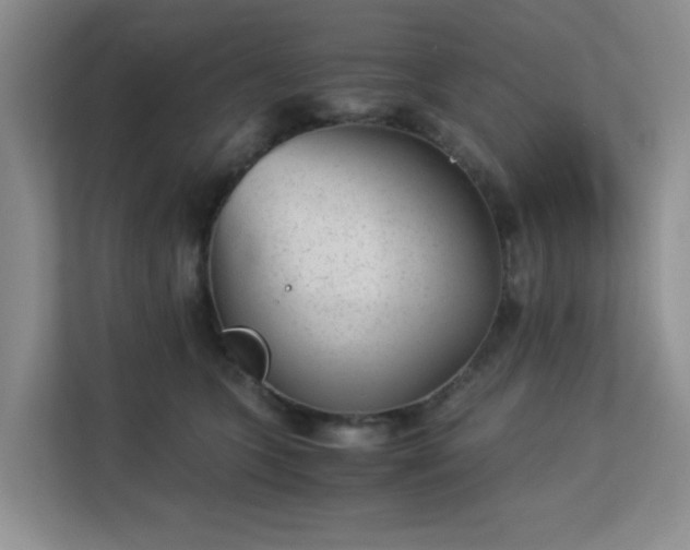 X0000113140563200909110936