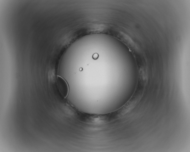 X0000113140564200909110936