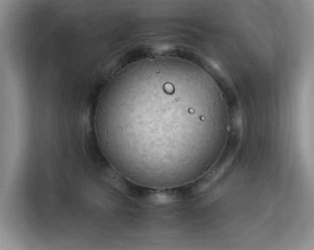 X0000113140565200909110936