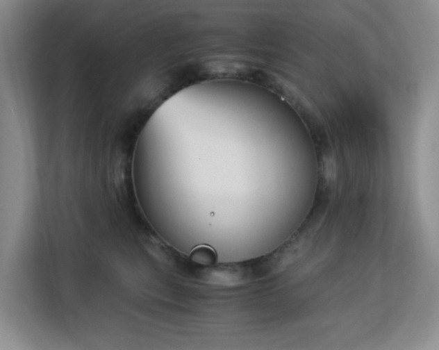 X0000113140567200909110936