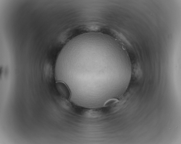 X0000113140568200909110936