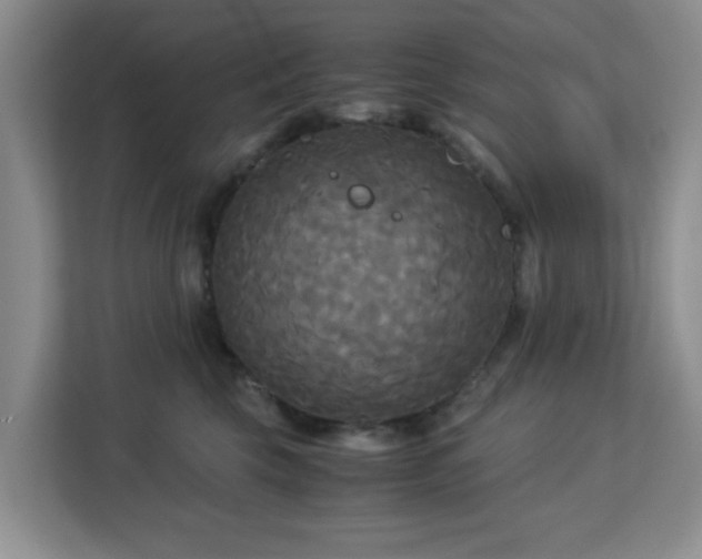 X0000113140569200909110936