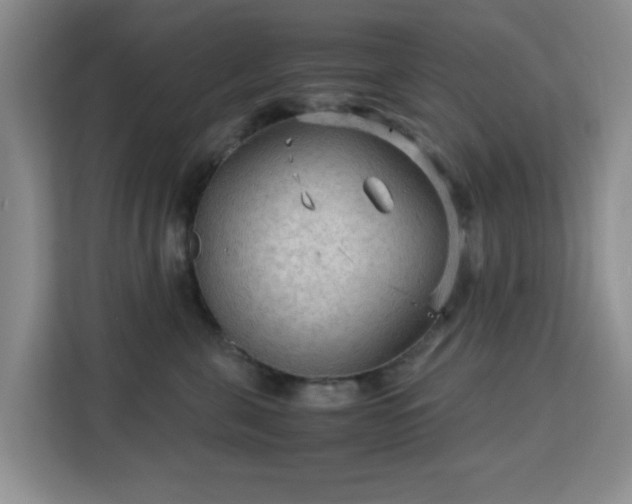 X0000113140571200909110936