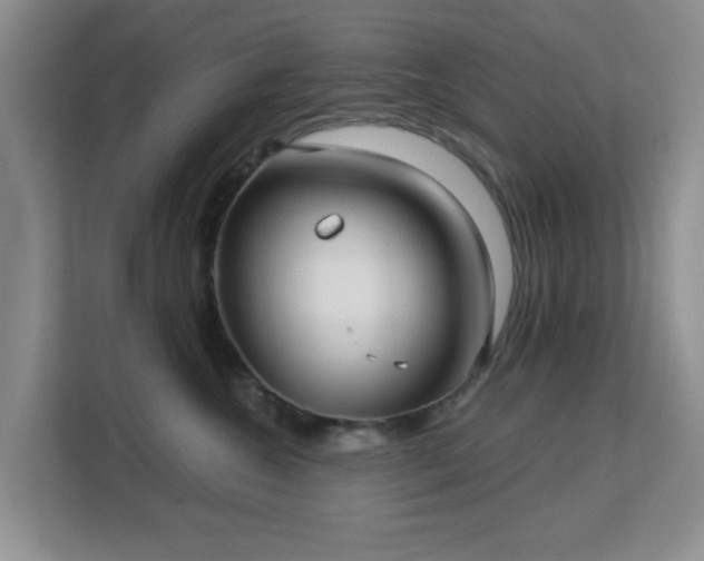 X0000113140572200909110936