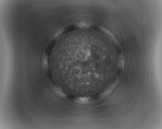 X0000113140573200909110936