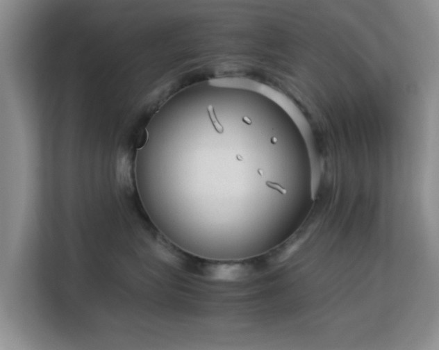 X0000113140575200909110936