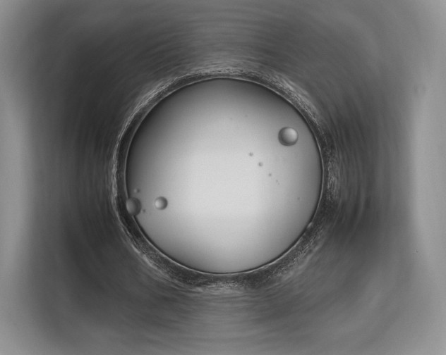 X0000113140578200909110936