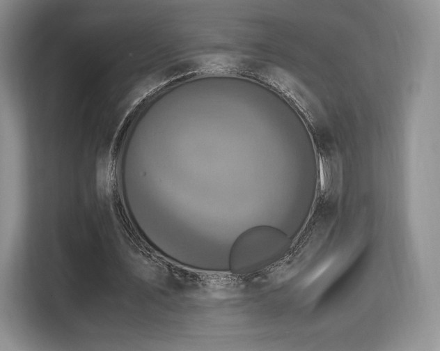 X0000113140579200909110936