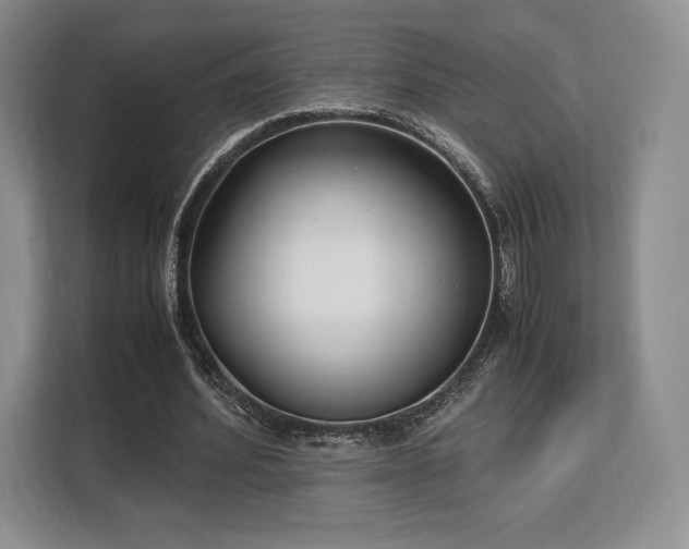 X0000113140580200909110936